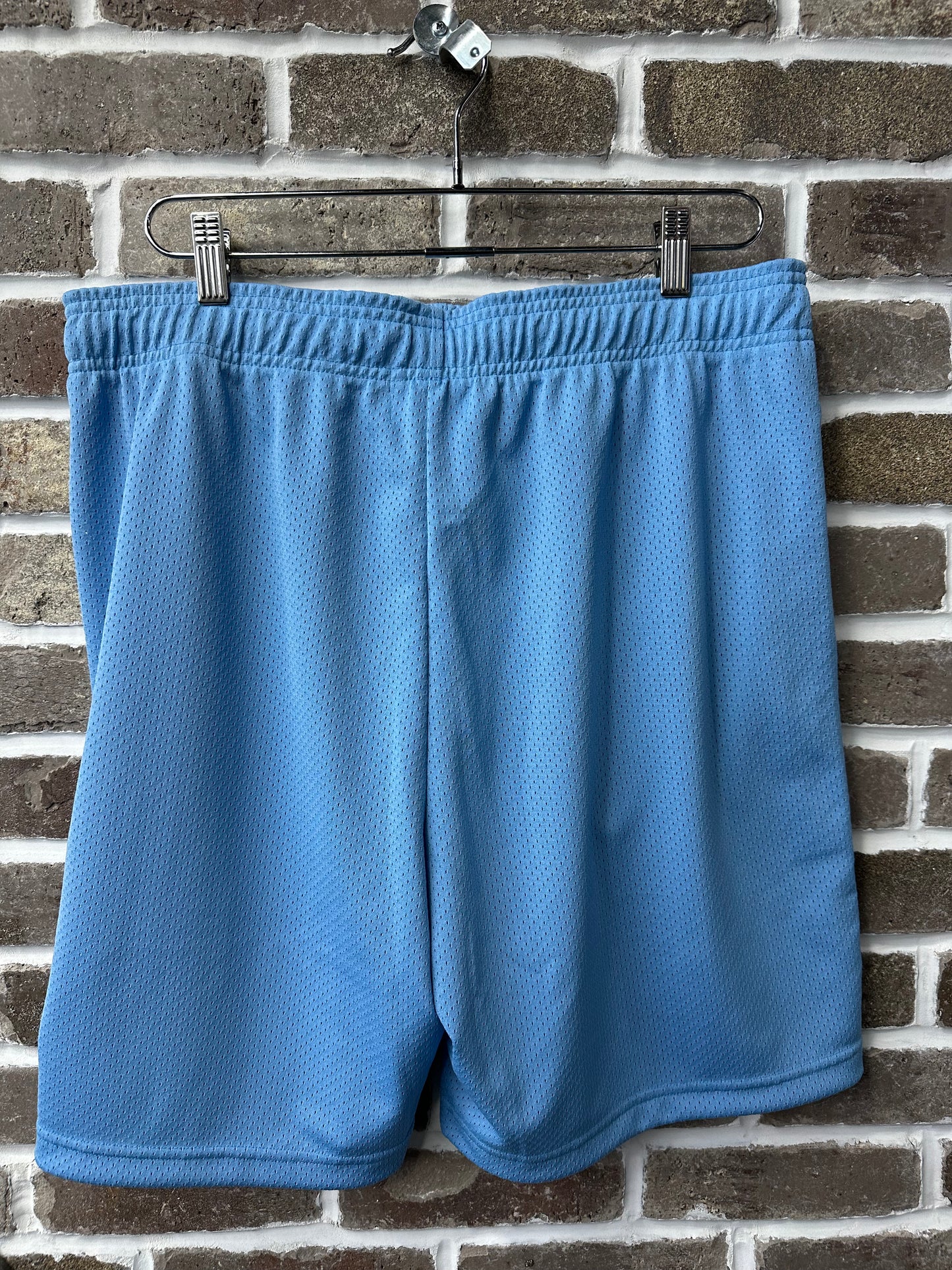 Warren Lotas Tears Of Joy Blue Mesh Shorts