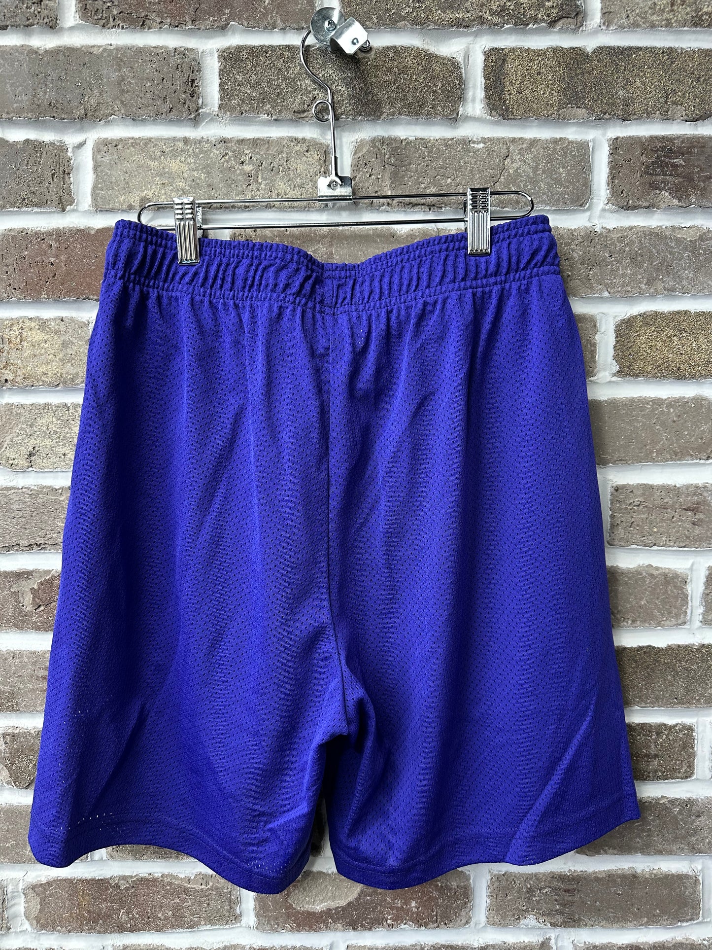 Warren Lotas Barbed Wire Blue Mesh Shorts
