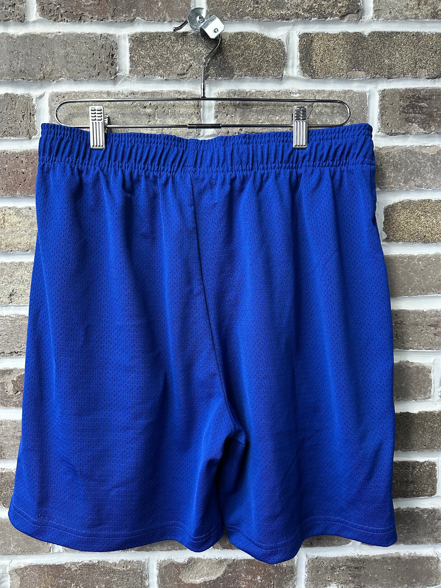 Warren Lotas WoodStock Blue Shorts