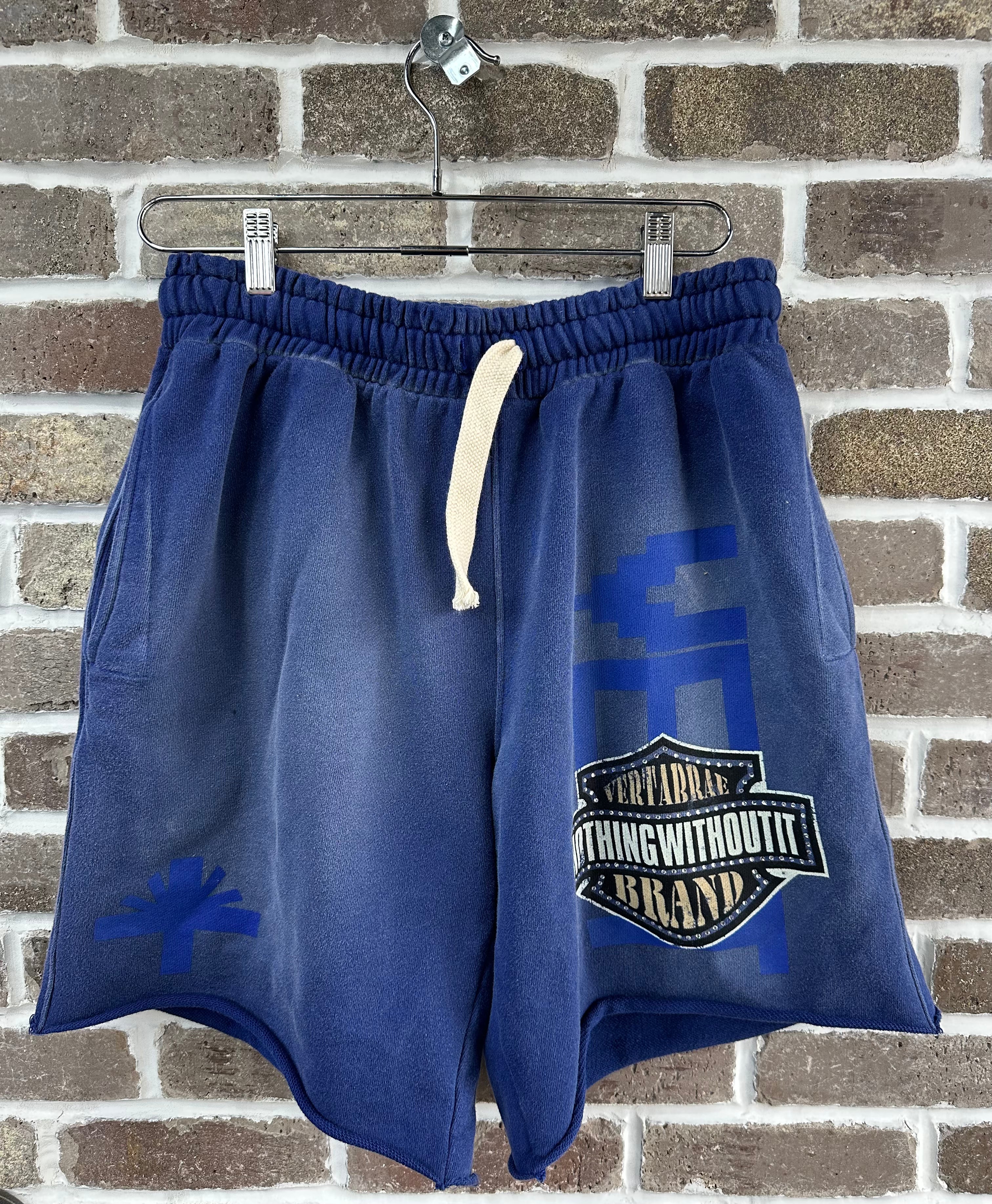 Vertabrae Double Emblem Shorts Blue